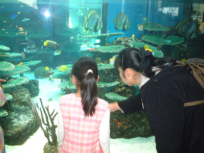041123a.jpg