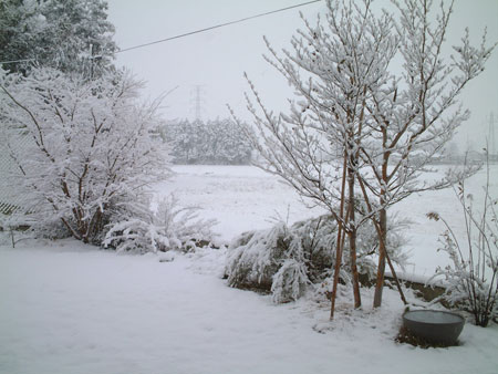 041229b.jpg