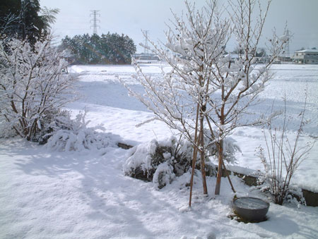 041230b.jpg