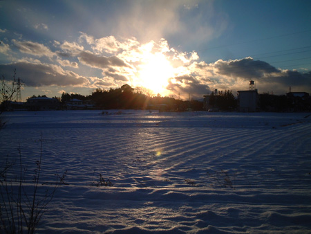 050101b.jpg
