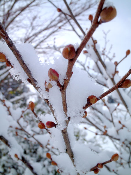 050202.jpg