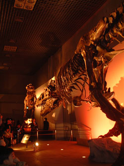 050404a.jpg