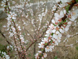 050411.jpg