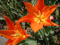 050424b.jpg