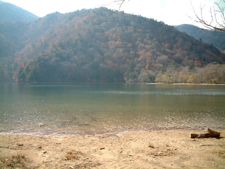 061029_sainoko.jpg